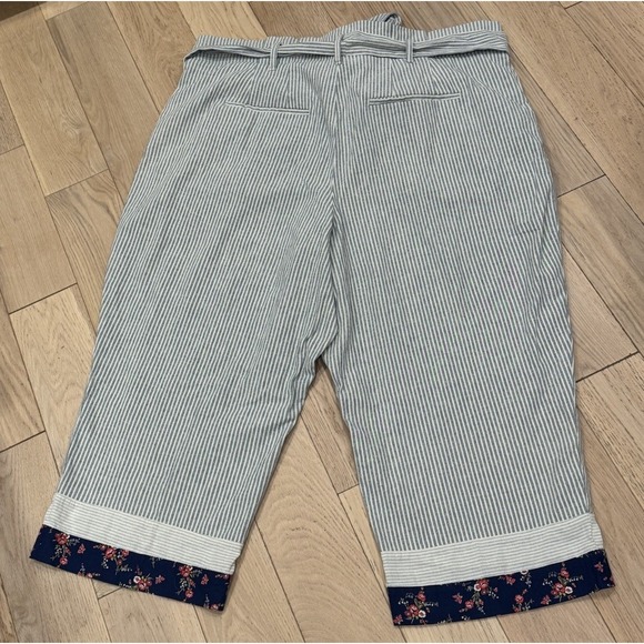 NEW Plus Sz 24 MADEWELL Cotton Blue Striped Ankle Pant with Trim Tie Waist - Picture 11 of 11